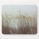 Search for dune electronics Coastal