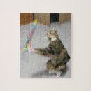 Search for crazy cat lady puzzles Feline