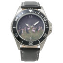 Search for puffin watches Wildlife