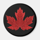 Search for red maple magnets Nature