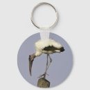 Search for storks key rings Birds