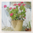 Search for geranium coasters Nature