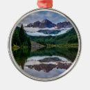 Search for aspen colorado christmas tree decorations Landscape
