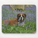 Search for a laying mousepads Bob and pam langrish