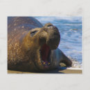 Search for yawn postcards Beach
