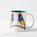 Search for finch mugs Bird