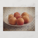 Search for apricot postcards Fruit