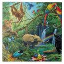Search for animal jaguar tiles Animals