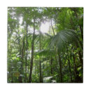 Search for tropical rainforest tiles Nature