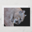 Search for pumas cards Cougar