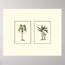 Search for miniature posters Trees