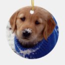 Search for ranch christmas tree decorations Dog
