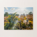 Search for sheep puzzles Rural scene