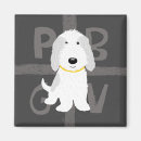 Search for griffon magnets Pbgv