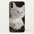 Search for kitten iphone cases pet