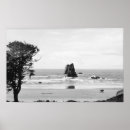 Search for cannon posters Photograph