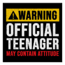 Search for 13th birthday posters Official