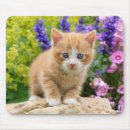 Search for gingers mousepads Kitty