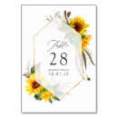 Search for sunflower numbers table cards Fall