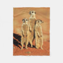 Search for meerkat blankets Nature