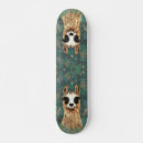 Search for llama skateboards Alpaca