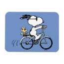 Search for peanuts magnets Charlie brown