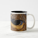 Search for keren mugs Architecture