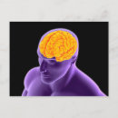 Search for human brain postcards Three dimensional