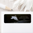 Search for swan bird return address labels Wildlife