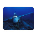 Search for palau Jake seaplane