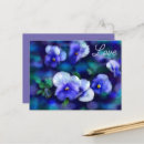 Search for pansy flower postcards Pansies