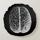 Search for brain cushions Anatomy