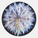 Search for black seeds stickers Flower