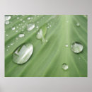Search for wet paint posters Abstract