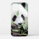 Search for kawaii panda cases Animal