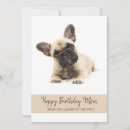 Search for french bulldog mom Cute