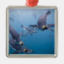 Search for antarctica christmas tree decorations Fauna