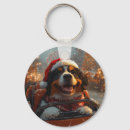 Search for roller coaster key rings Fun
