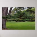 Search for large tree posters Branch