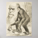Search for theory of evolution posters Charles