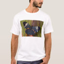 Search for tropical butterfly tshirts Exotic