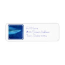 Search for great white return address labels Shark