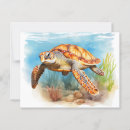 Search for funny turtles postcards Animal