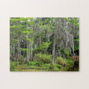 Search for marshland Swamp