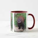 Search for polecat mugs Ferret