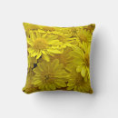 Search for chrysanthemum cushions Flowers