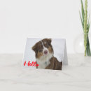 Search for australian shepherds cards Puppy