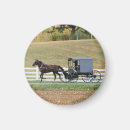Search for buggy magnets Rural