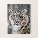Search for snow leopard puzzles Wildlife