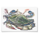 Search for blue crab posters Chesapeake bay